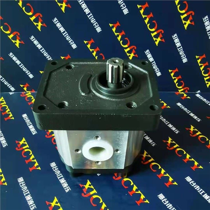Case Tractor Pump 301022A1